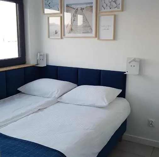 Zurawi * סאשינו